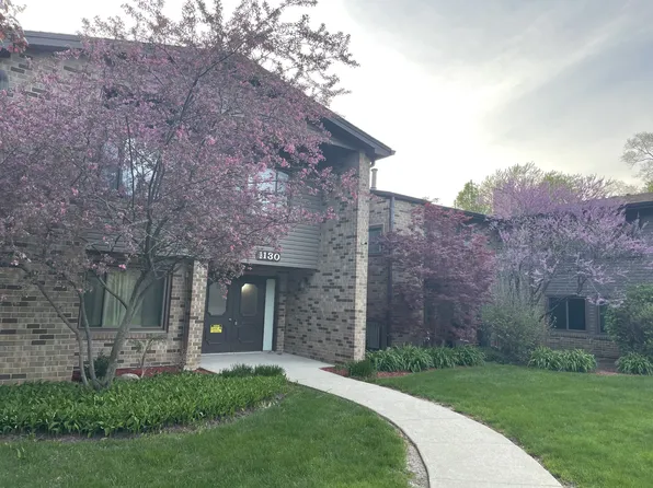 1130 E Randville Dr, Palatine, IL