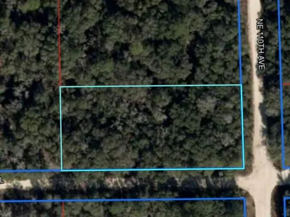 NE 110th Ave, Bronson, FL 32621