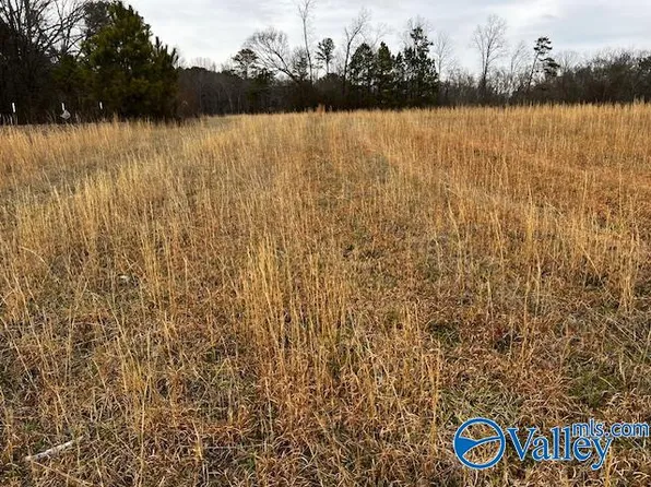 387 Highland Dr, Arab, AL 35016