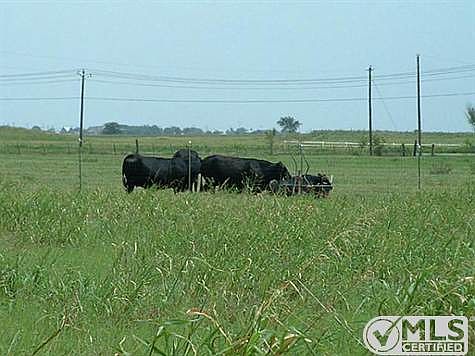 2nd image of 9940 County Road 915
