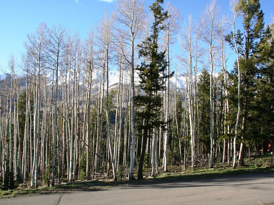 1st image of 109 Double Eagle Way #628D