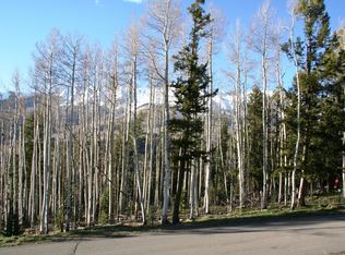 109 Double Eagle Way #628D, Telluride, CO 81435