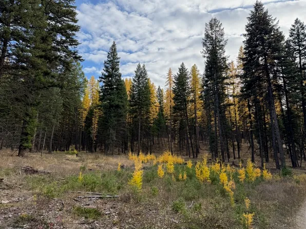 Nhn Meadow Creek Rd, Fortine, MT 59918