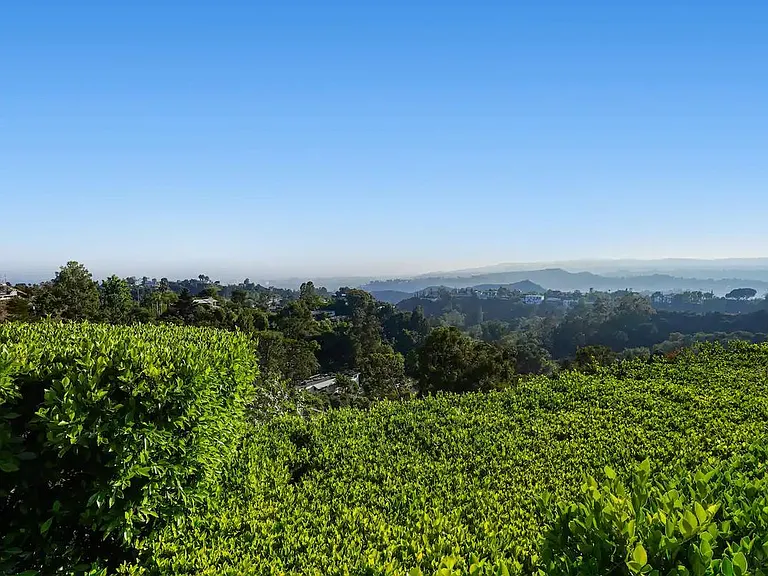 Immerse yourself in the endless views that stretch for miles, capturing the essence of a captivating landscape.