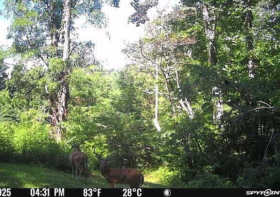 95th image of this home