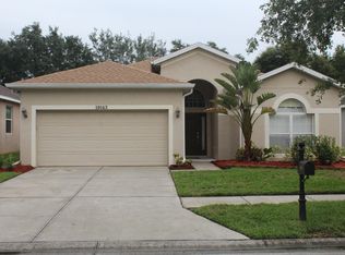19143 Meadow Pine Dr, Tampa, FL 33647