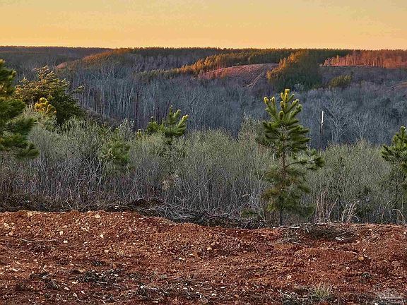 5th image of 0 County Road 79