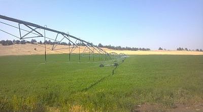 1 of 3 Pivots