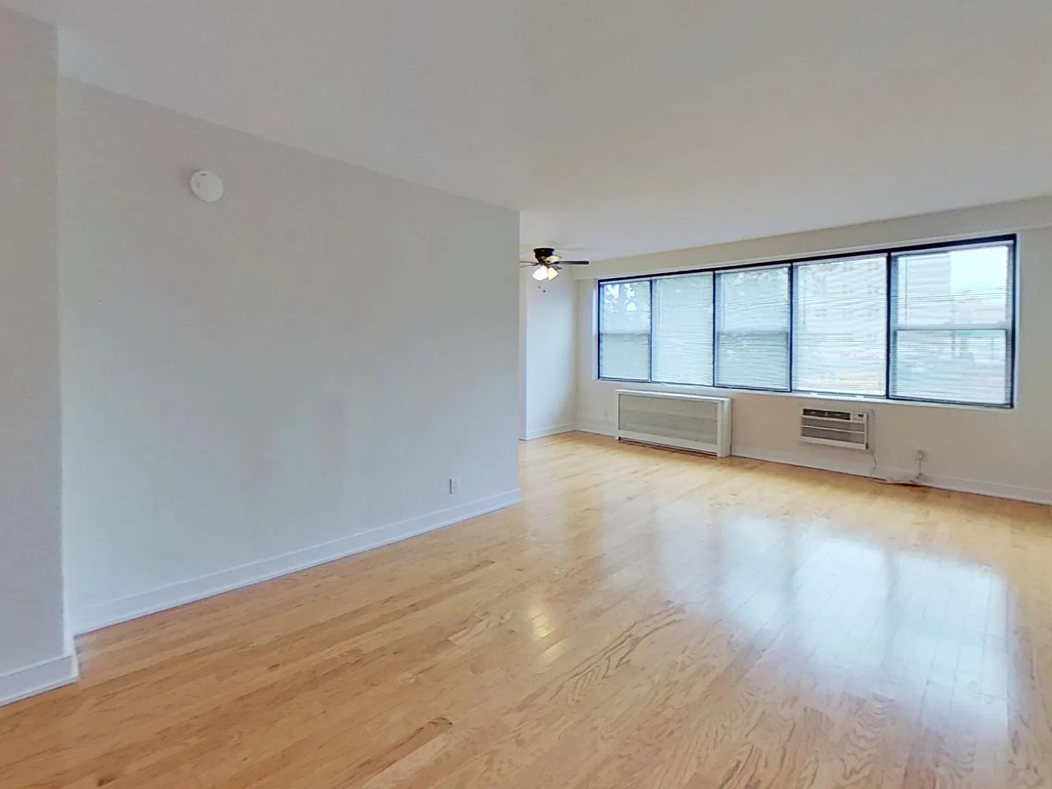 Lenox — Photo 1