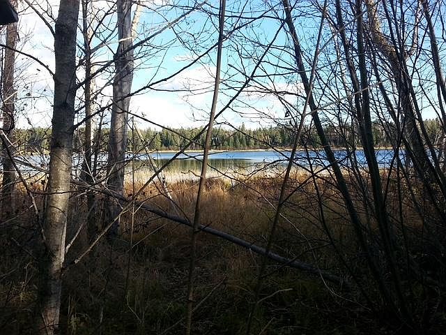 1st image of 38812 Outback Dr