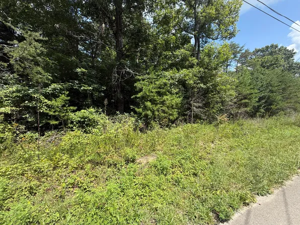 425 Woodland Ave, Altamont, TN 37301