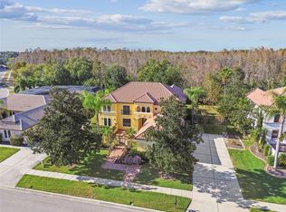 3811 Ivydale Ct, Land O Lakes, FL 34638