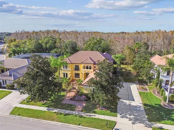 3811 Ivydale Ct, Land O Lakes, FL 34638