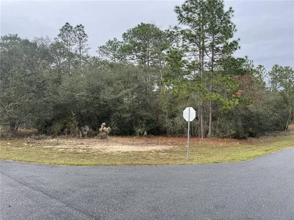11290 N Kenney Loop #100, Dunnellon, FL 34433