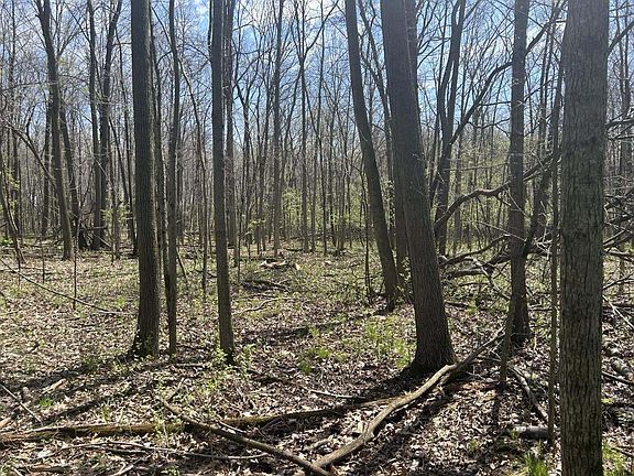 4th image of Halfmoon Lake Rd
