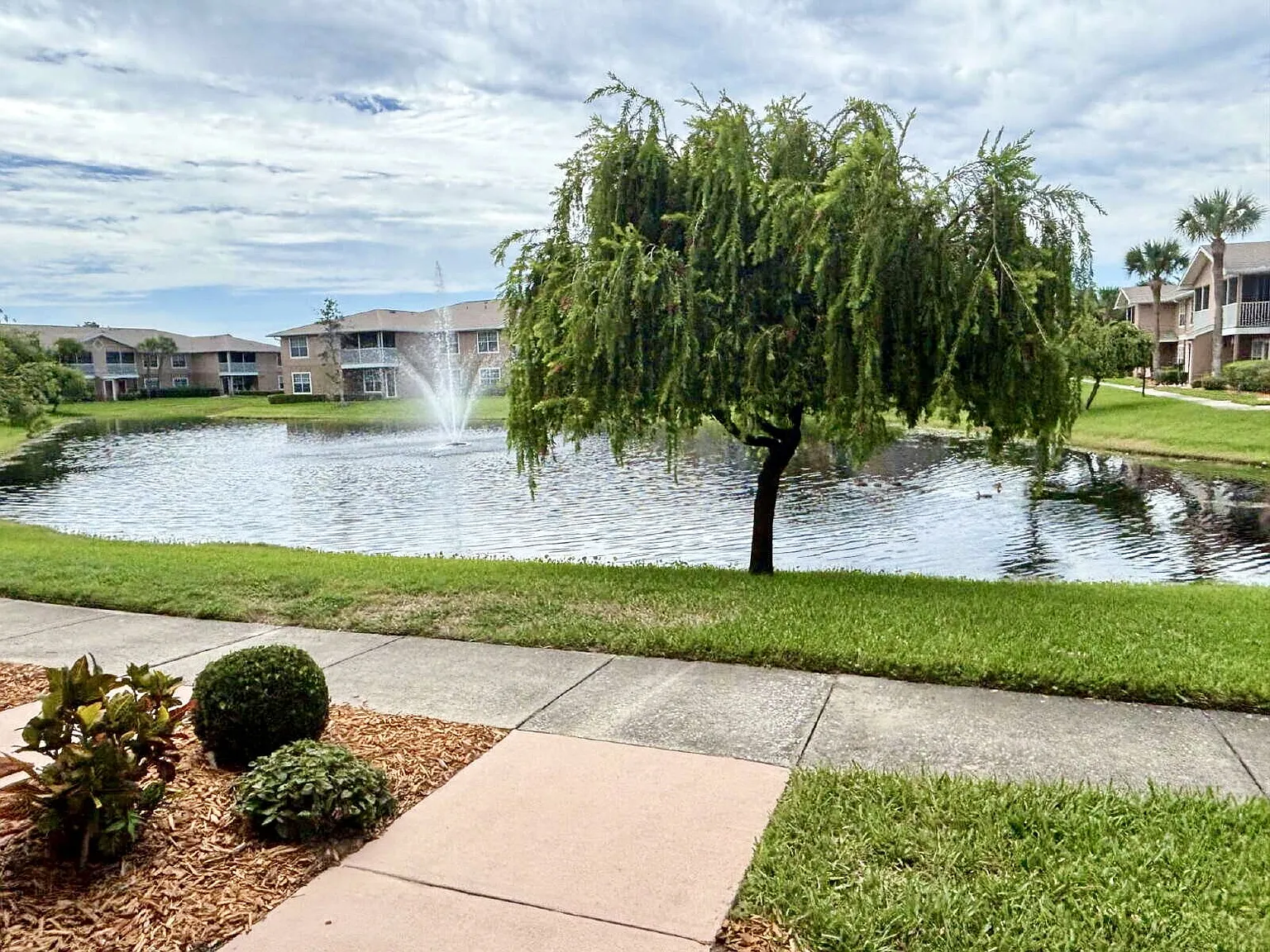 2 bed, 1.0 bath, 937 sqft, $1,950 — Photo 2