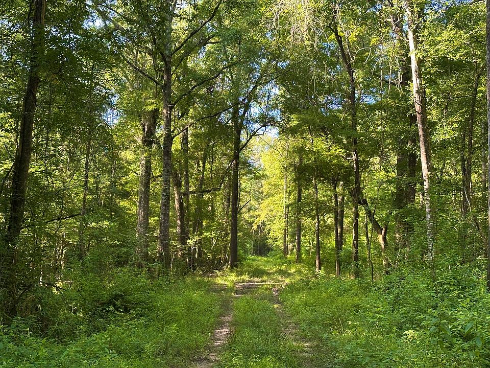 1st image of 0 Merrill Salem Rd