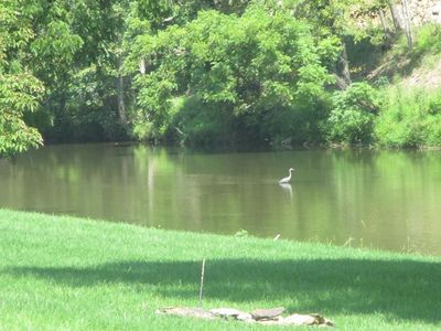 Tbd River Bottom Ln, Galax, VA, 24333
