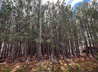 Tbd Zelda Ct NW, Bemidji, MN 56601