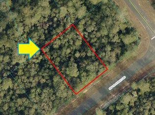 LOT 12 SW 165th Street Rd, Ocala, FL 34473