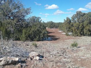 2324 Lassen St, Show Low, AZ 85901
