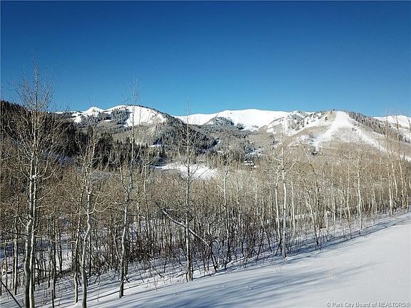 3rd image of 245 White Pine Canyon Rd