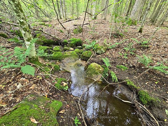 5th image of 0 Old Track Rd