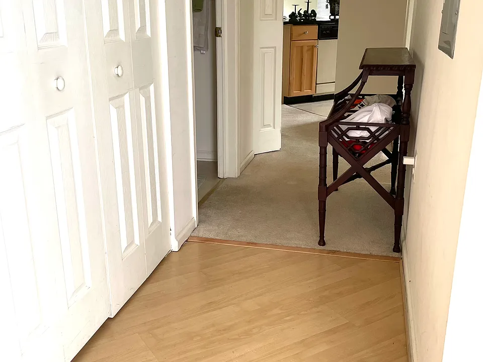 Entry hallway and HVAC closet (on left).