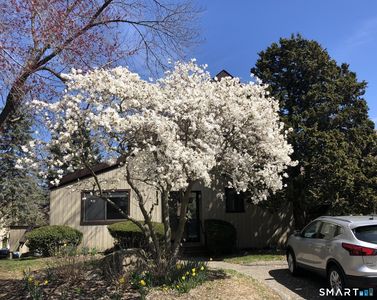 511 Opa Lane #B, Stratford, CT, 06614