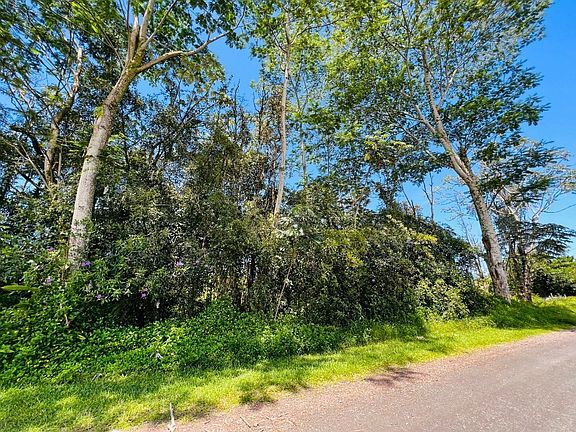 4th image of 11th Avenue Kika Lot 1508