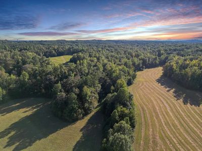 3085 Forrest Hill Rd, Bolivar, TN, 38008