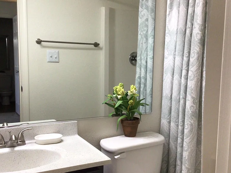 Guest Bath