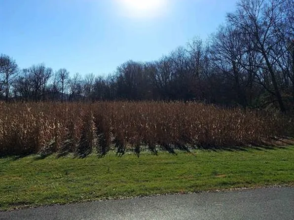Wirt Ave, Elkton, VA 22827