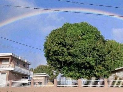 181 Rd Int Km 1.7 Bo Ma Arc #1, Gurabo, PR, 00778