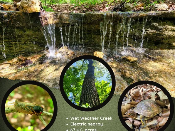 000 County Road 76-126, Ava, MO 65608