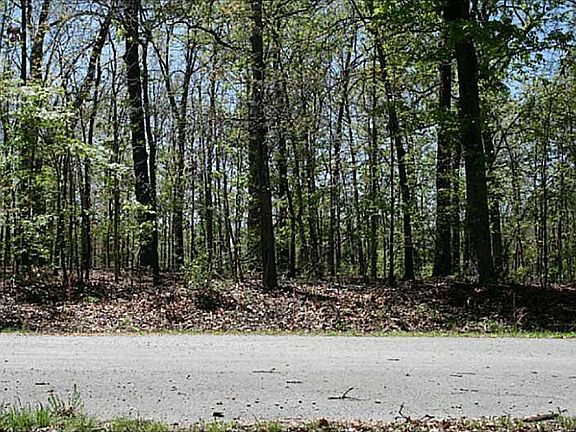 4th image of Kirk Ln