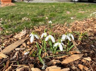 8128 NE 161st Pl, Kenmore, WA 98028