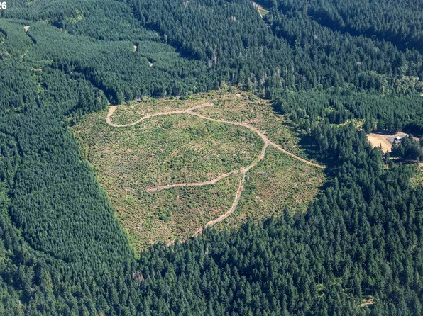 W Brush Creek Rd, Marcola, OR 97454