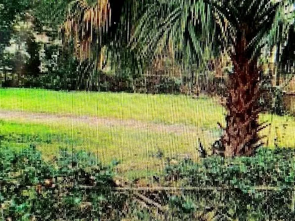 2123 WILBERFORCE Road, Jacksonville, FL 32209