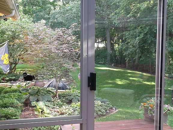 view from sunroom