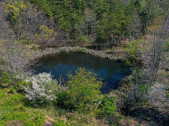 4th image of 968 Taylor School Rd