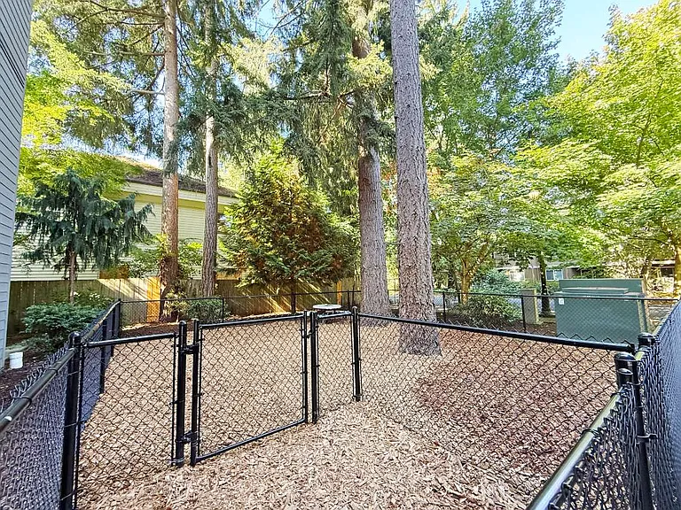Dog Park