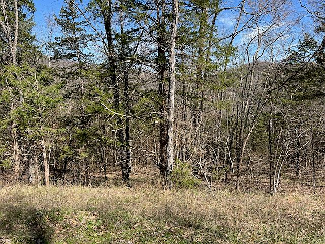 1st image of 14 Thunderbird Ln #14