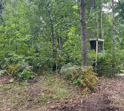 3rd image of Lacy Ln SW