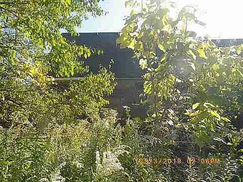 11449 Sanford