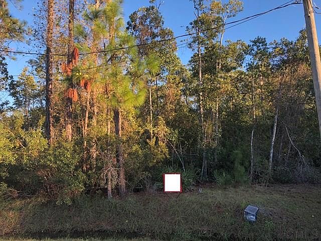 1st image of 13 Zenger Ct
