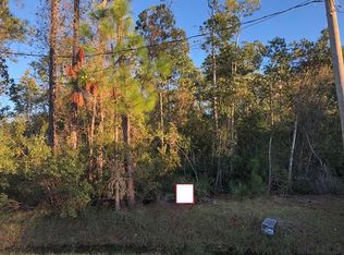 13 Zenger Ct, Palm Coast, FL 32164