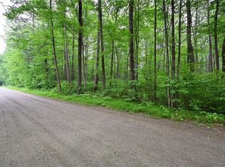 Lot 1 Woodland Avenue, Hayward, WI 54843