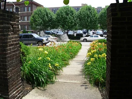 Phillips Manor — Photo 45