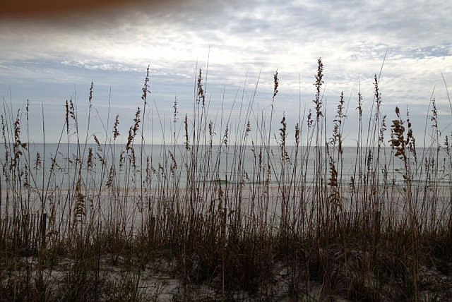 1st image of 29160 Perdido Beach Blvd